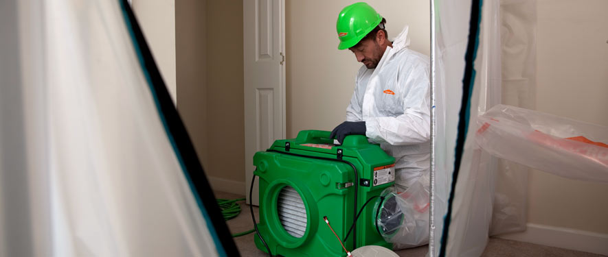 Marina del Rey, CA mold cleanup