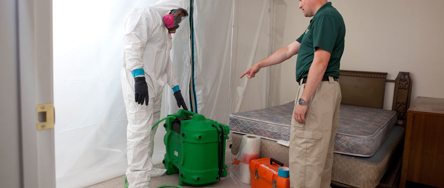 Marina del Rey, CA mold removal process